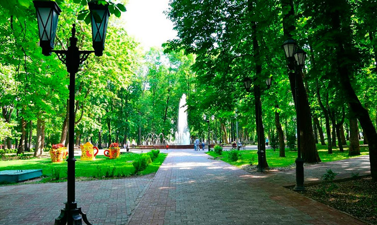 Лопатинский сад Смоленск